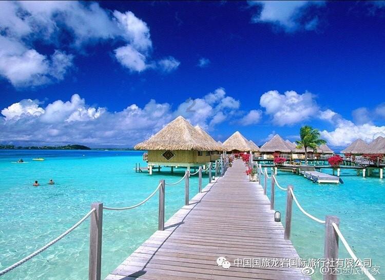 钟南山谈疫情期间私聊怎么样用柿子做蒸糕？游戏画面
